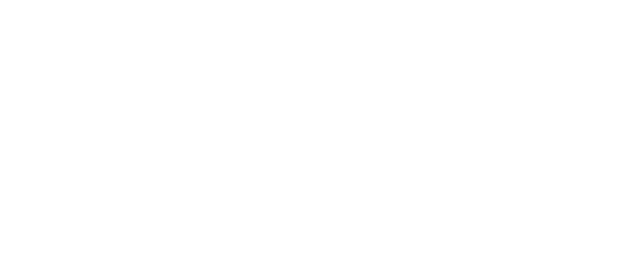 Champions Volleyball Club logo